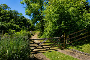 Photo 14- click for photo gallery